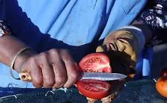Pomodorino di Gela, stretta sulla sicurezza dopo i casi di salmonella