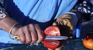 Pomodorino di Gela, stretta sulla sicurezza dopo i casi di salmonella