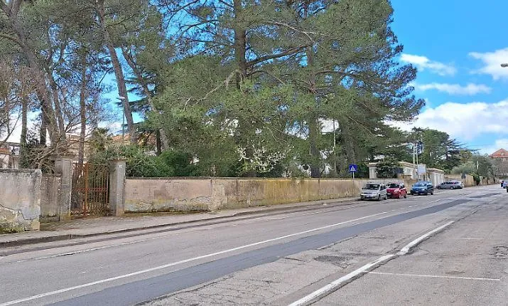 Parco Dubini in ripresa: sicurezza, partecipazione e riapertura condivisa